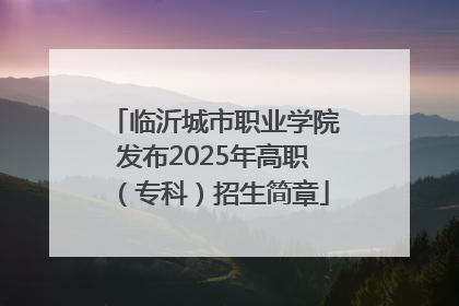 临沂城市职业学院发布2025年高职（专科）招生简章