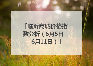 临沂商城价格指数分析（6月5日—6月11日）