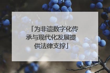 为非遗数字化传承与现代化发展提供法律支撑