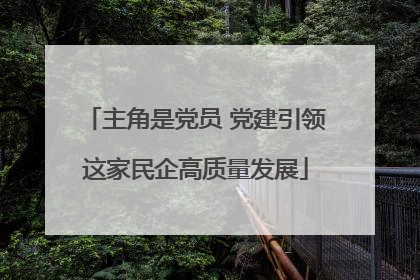 主角是党员 党建引领这家民企高质量发展