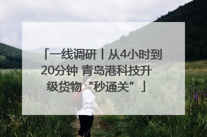 一线调研丨从4小时到20分钟 青岛港科技升级货物“秒通关”