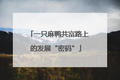 一只麻鸭共富路上的发展“密码”
