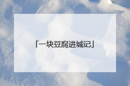 一块豆腐进城记