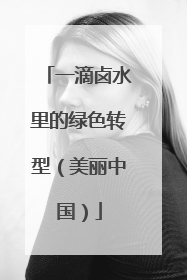 一滴卤水里的绿色转型（美丽中国）