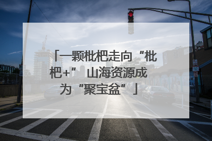 一颗枇杷走向“枇杷+” 山海资源成为“聚宝盆”