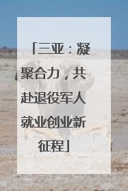 三亚：凝聚合力，共赴退役军人就业创业新征程