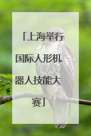 上海举行国际人形机器人技能大赛