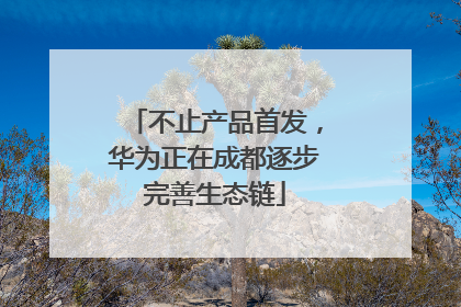 不止产品首发，华为正在成都逐步完善生态链