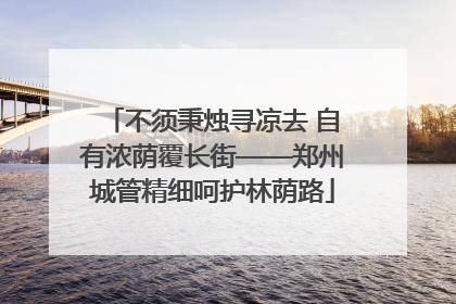 不须秉烛寻凉去 自有浓荫覆长街——郑州城管精细呵护林荫路