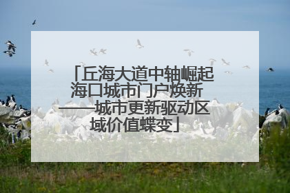 丘海大道中轴崛起 海口城市门户焕新——城市更新驱动区域价值蝶变