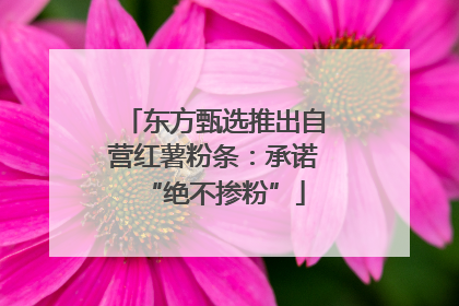 东方甄选推出自营红薯粉条：承诺“绝不掺粉”