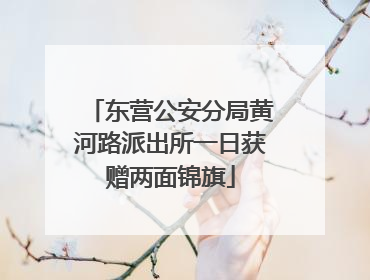 东营公安分局黄河路派出所一日获赠两面锦旗