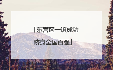 东营区一镇成功跻身全国百强