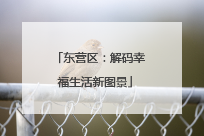 东营区：解码幸福生活新图景