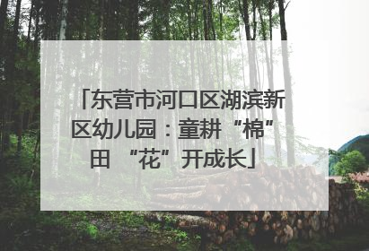 东营市河口区湖滨新区幼儿园：童耕“棉”田 “花”开成长