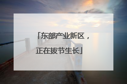 东部产业新区，正在拔节生长