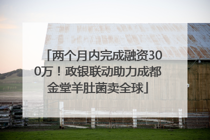 两个月内完成融资300万！政银联动助力成都金堂羊肚菌卖全球