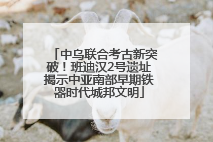 中乌联合考古新突破！班迪汉2号遗址揭示中亚南部早期铁器时代城邦文明
