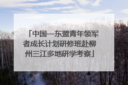 中国—东盟青年领军者成长计划研修班赴柳州三江多地研学考察