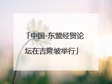 中国-东盟经贸论坛在吉隆坡举行
