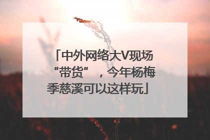 中外网络大V现场“带货”，今年杨梅季慈溪可以这样玩