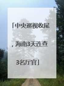 中央巡视收尾，海南3天连查3名厅官