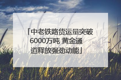 中老铁路货运量突破6000万吨 黄金通道释放强劲动能