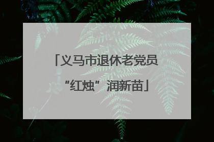 义马市退休老党员“红烛”润新苗