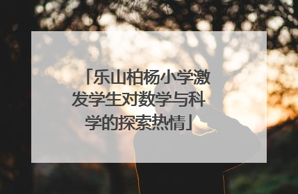 乐山柏杨小学激发学生对数学与科学的探索热情