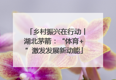 乡村振兴在行动丨湖北茅箭：“体育+”激发发展新动能