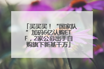 买买买！“国家队”加码6亿认购ETF，2家公募出手自购旗下新基千万