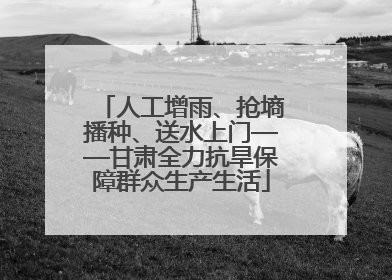 人工增雨、抢墒播种、送水上门——甘肃全力抗旱保障群众生产生活