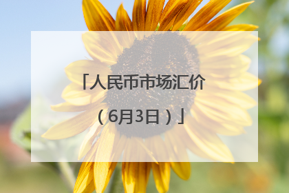人民币市场汇价（6月3日）