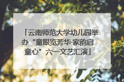 云南师范大学幼儿园举办“童眼览芳华·家韵启童心”六一文艺汇演