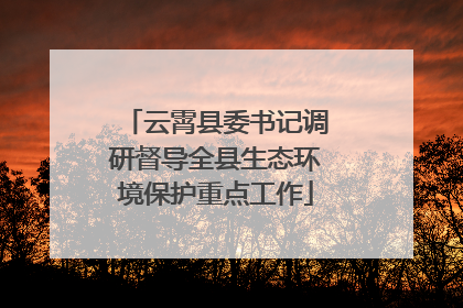 云霄县委书记调研督导全县生态环境保护重点工作