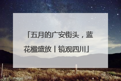 五月的广安街头，蓝花楹盛放丨镜观四川