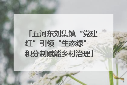 五河东刘集镇“党建红”引领“生态绿” 积分制赋能乡村治理