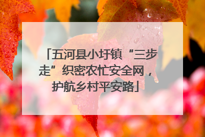 五河县小圩镇“三步走”织密农忙安全网，护航乡村平安路