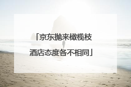 京东抛来橄榄枝 酒店态度各不相同