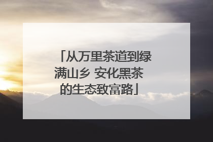 从万里茶道到绿满山乡 安化黑茶的生态致富路