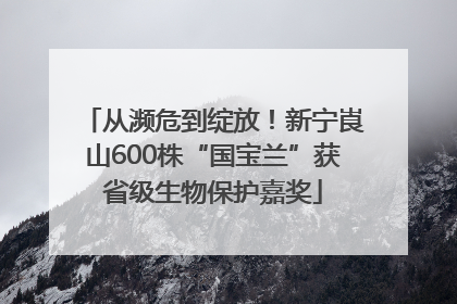 从濒危到绽放！新宁崀山600株“国宝兰”获省级生物保护嘉奖
