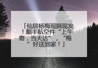 仙居杨梅现摘现发！顺丰航空件“上午寄，当天达”，“梅”好送到家！