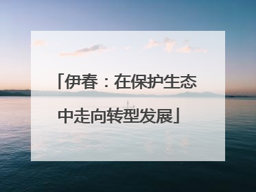 伊春：在保护生态中走向转型发展