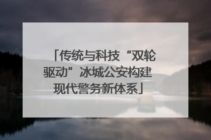 传统与科技“双轮驱动”冰城公安构建现代警务新体系