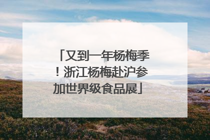 又到一年杨梅季！浙江杨梅赴沪参加世界级食品展
