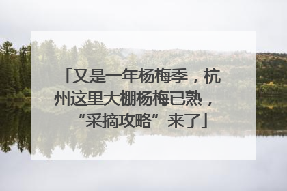 又是一年杨梅季，杭州这里大棚杨梅已熟，“采摘攻略”来了