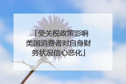 受关税政策影响 美国消费者对自身财务状况信心恶化