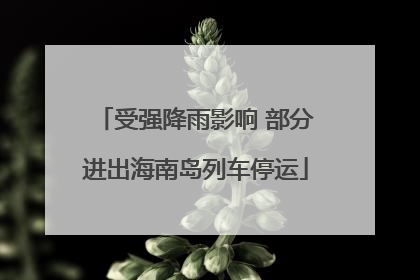 受强降雨影响 部分进出海南岛列车停运