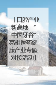 口腔产业新高地 “中国牙谷”亮相医药健康产业专题对接活动