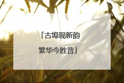 古埠现新韵 繁华今胜昔